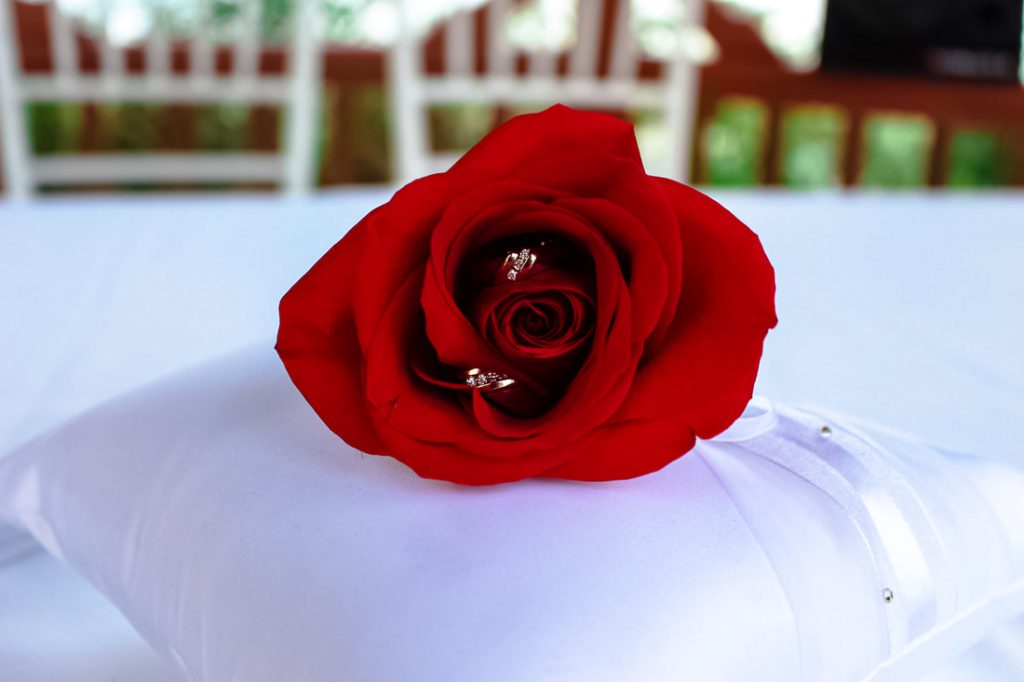 Gros plan sur une rose posé sur un coussin blanc et renfermant les alliances