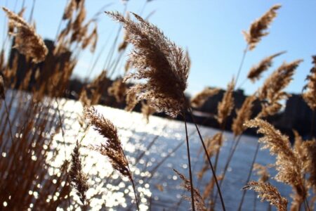 Professional Photographe artistic photographer Montreal, Laval, Longueuil, price photograpy, prix photographie,