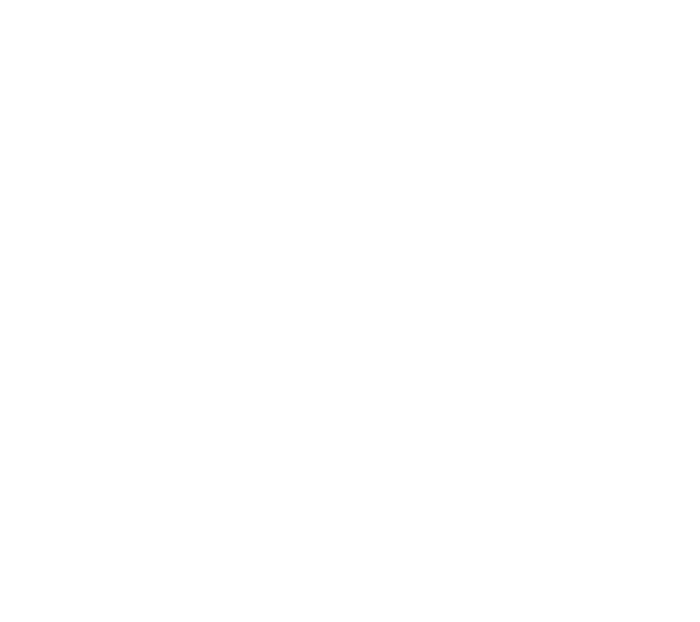 Larisa Photographe